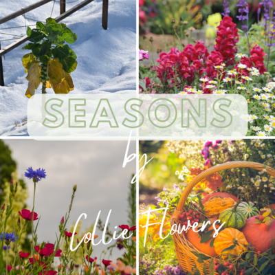 Seasons, your quarterly gardening subscription box