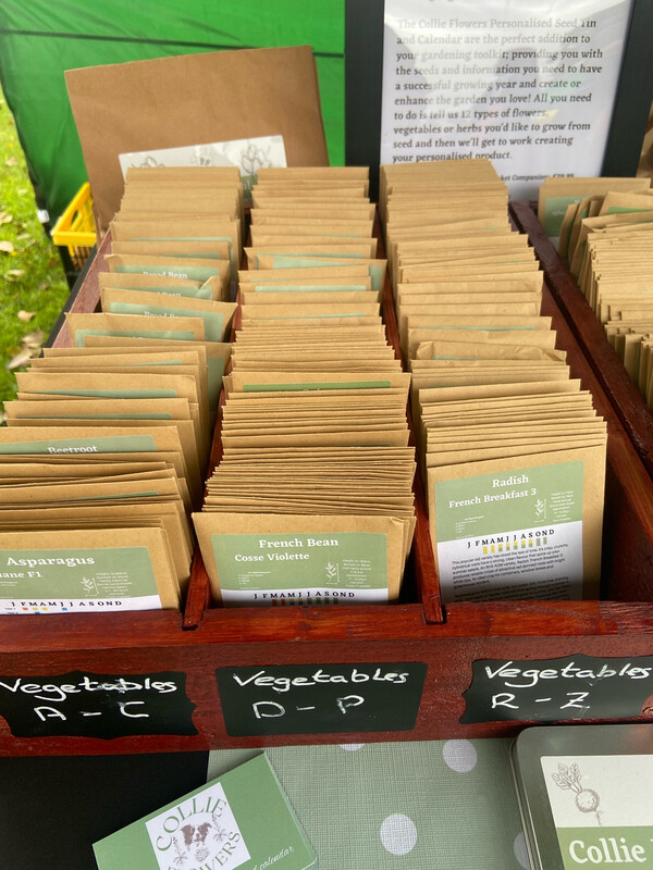 10 Pack Mystery Seed Selection
