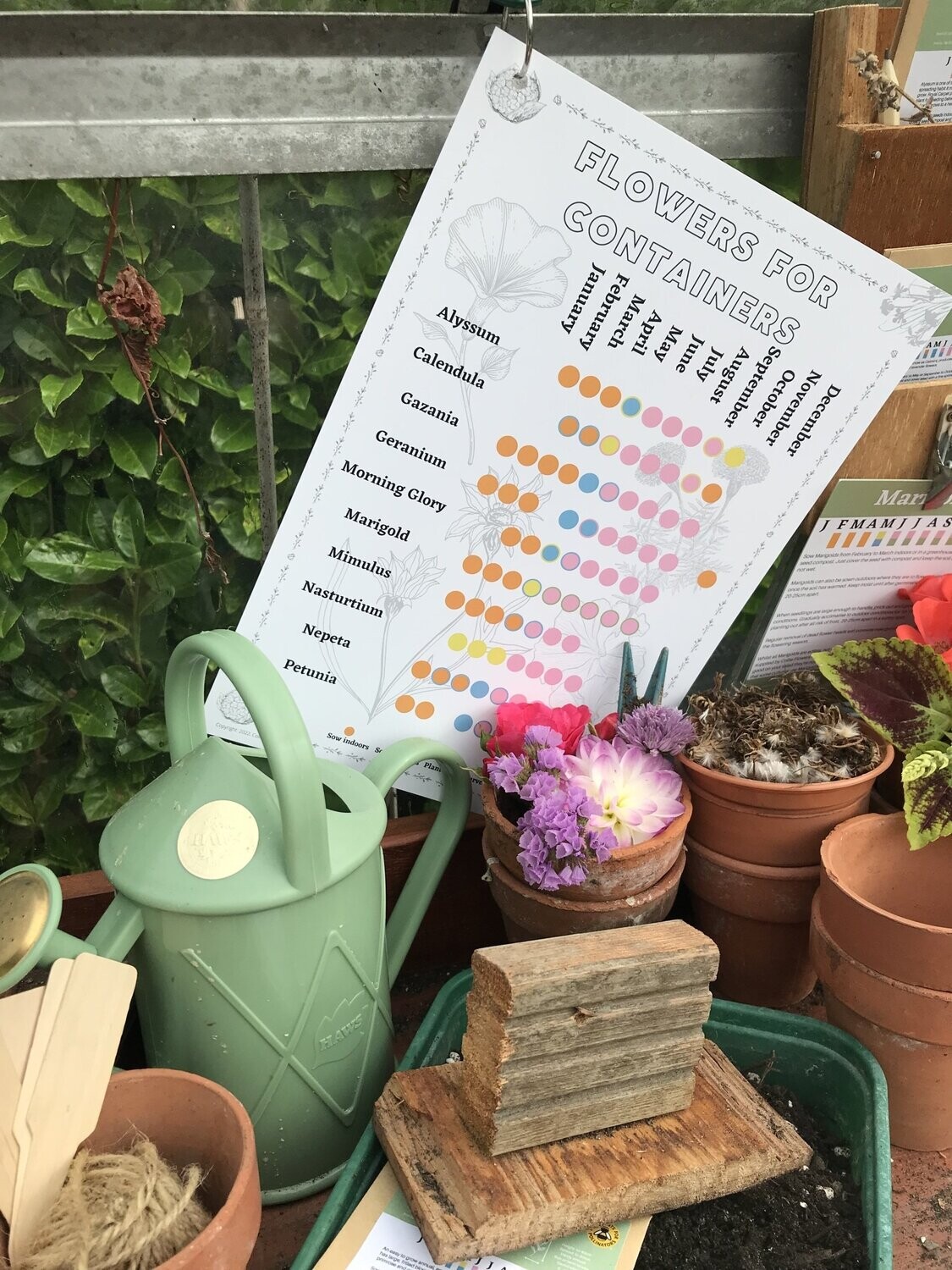 Flowers for Containers Sowing & Growing Calendar: Digital Download