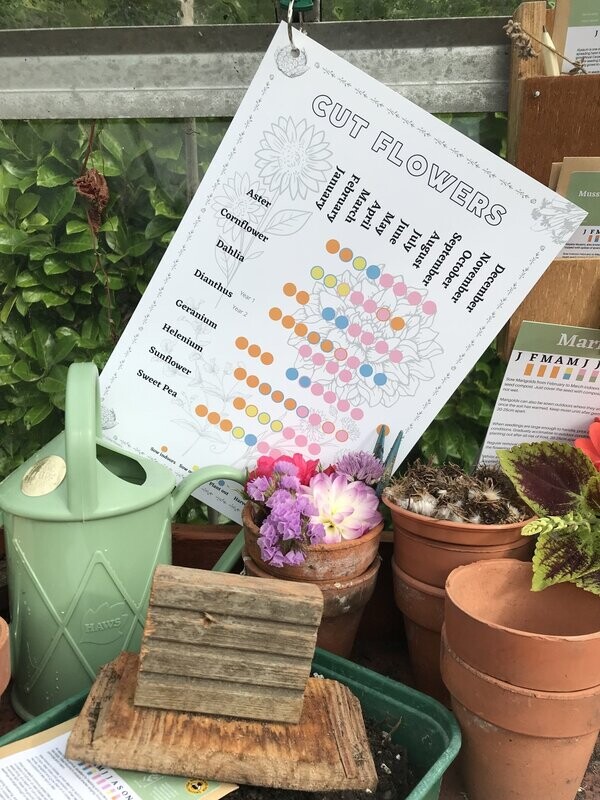 Cut Flowers Sowing & Growing Calendar: Digital Download