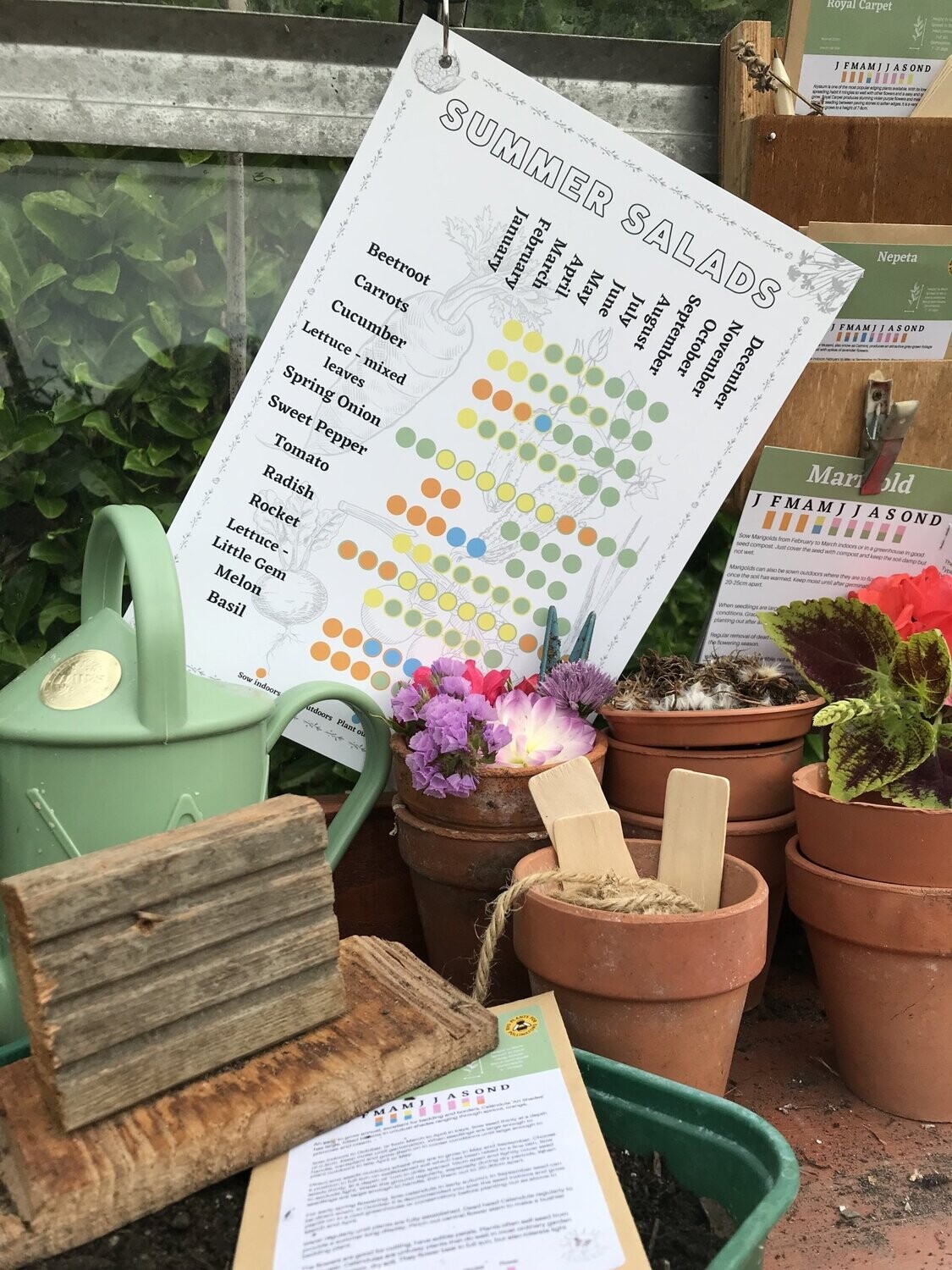 Summer Salads Sowing & Growing Calendar: Digital Download