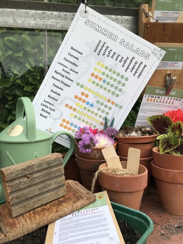 Summer Salads Sowing & Growing Calendar: Digital Download