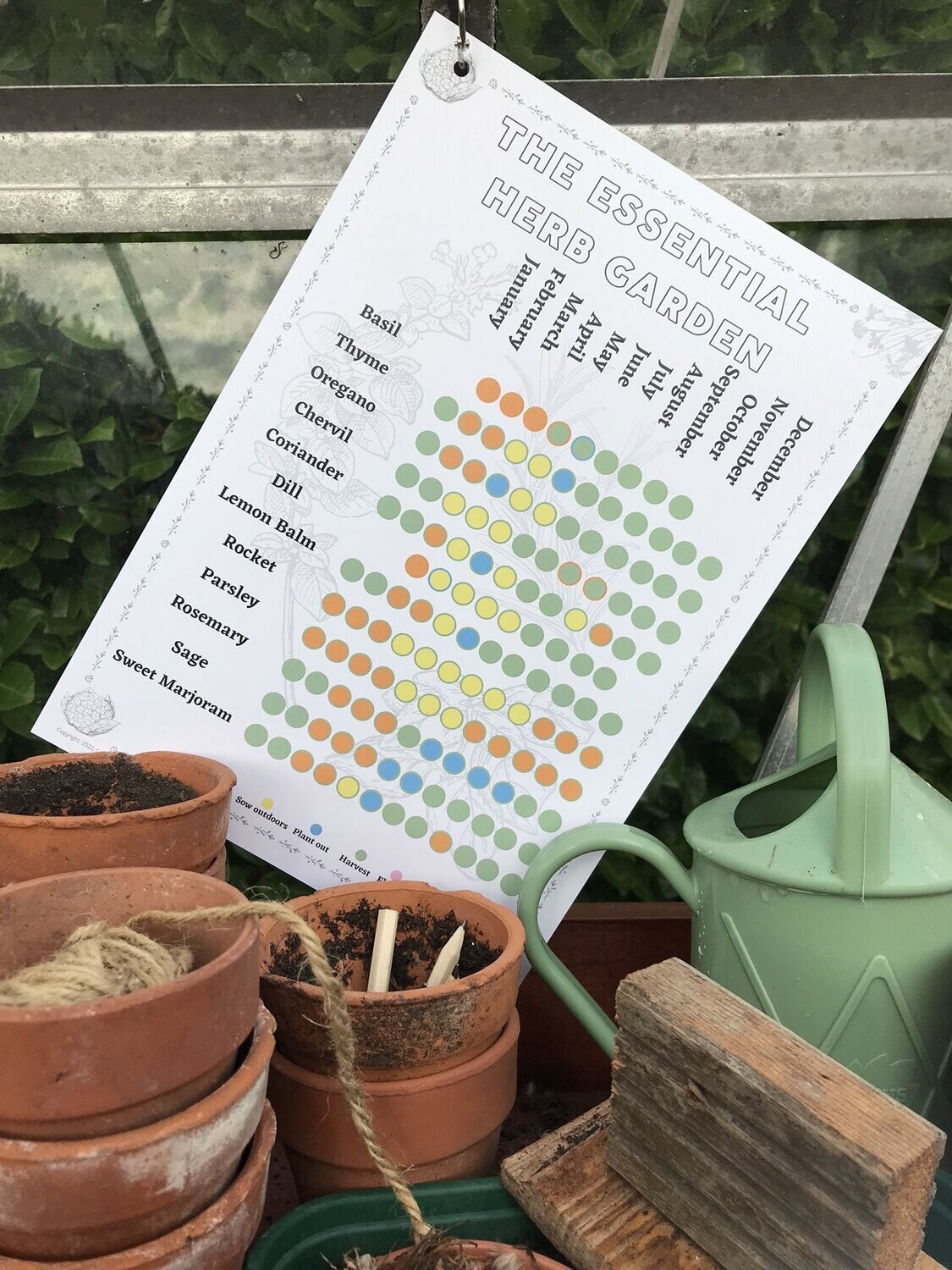 The Essential Herb Garden Sowing & Growing Calendar: Digital Download