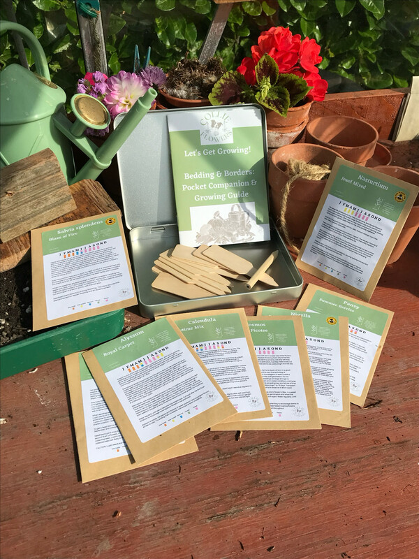 Bedding & Borders Pocket Companion & Growing Guide: Digital Download