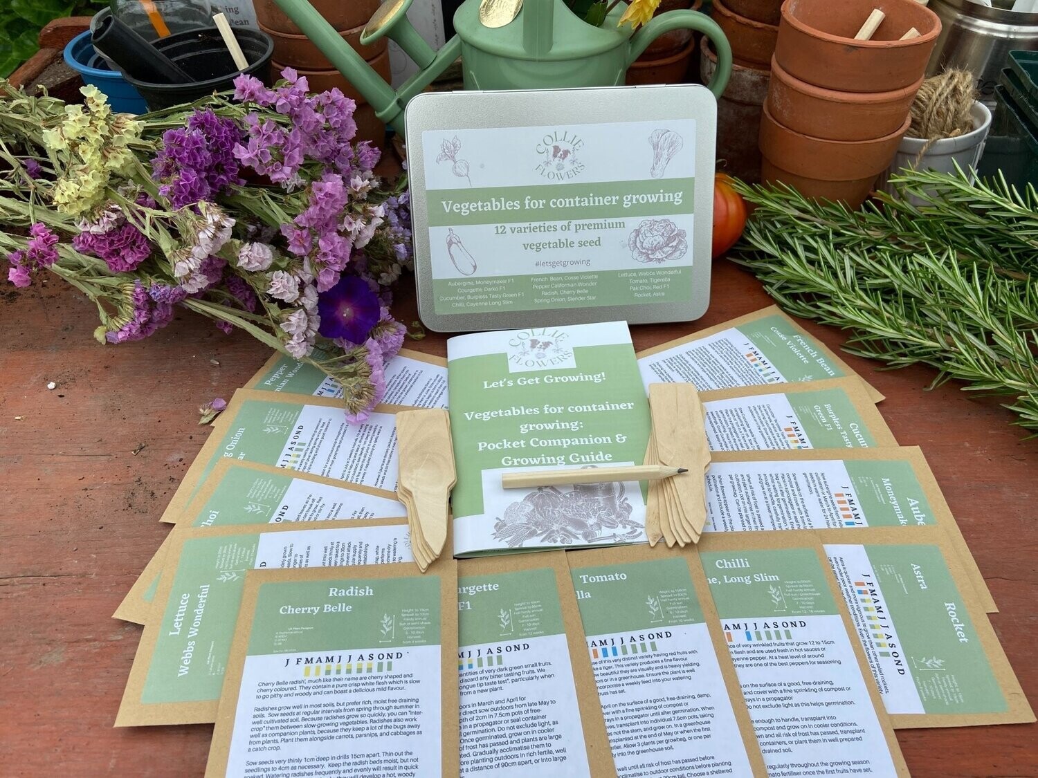 Vegetables for Containers Pocket Companion & Growing Guide: Digital Download