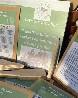 Taste The Rainbow Pocket Companion & Growing Guide: Digital Download