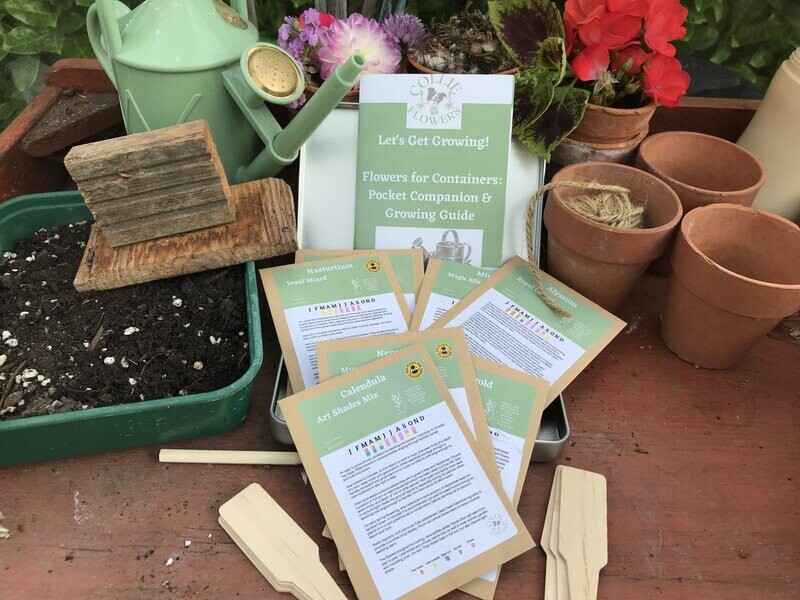 Flowers for Containers Pocket Companion & Growing Guide: Digital Download
