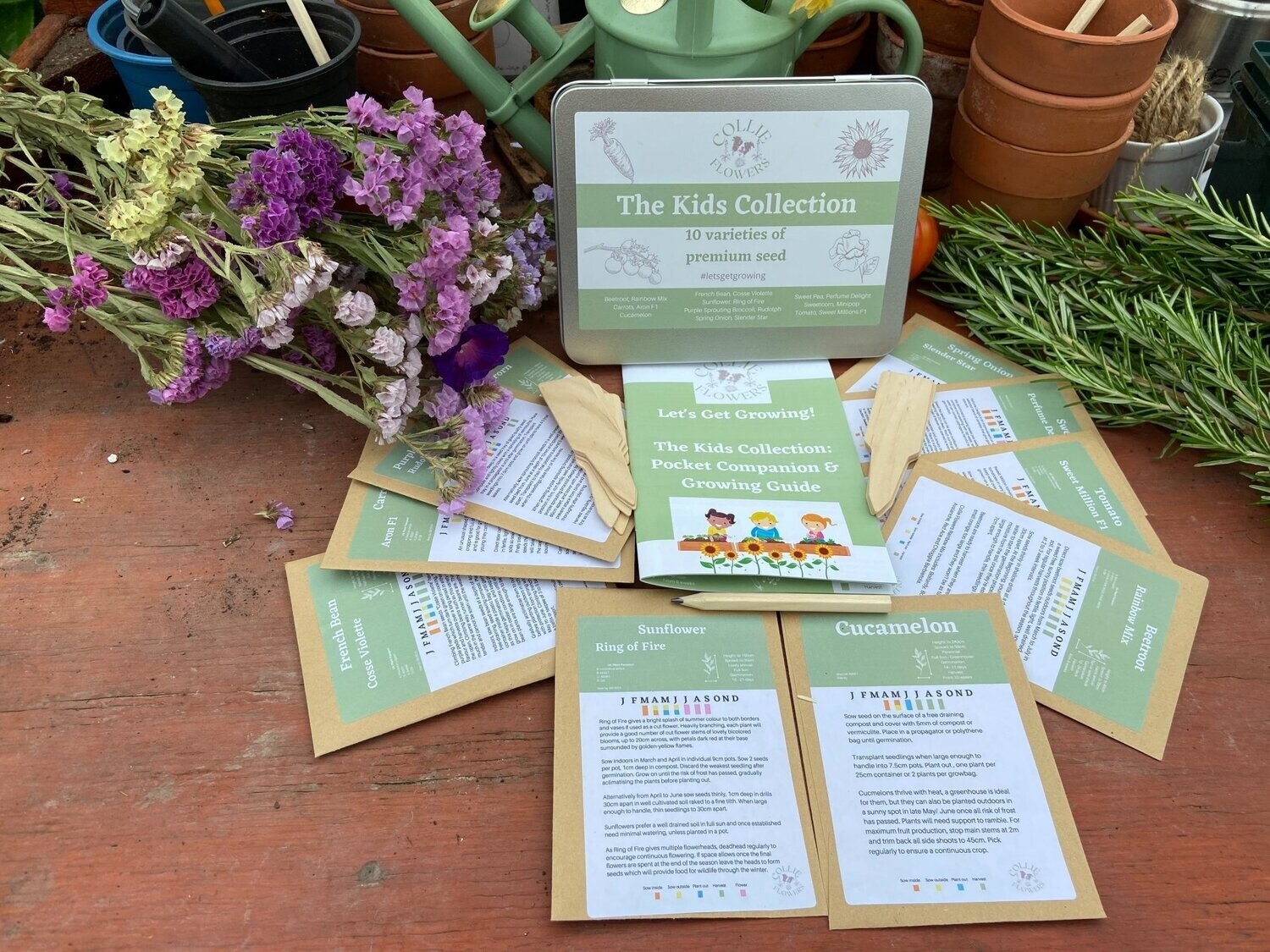 The Kids Collection Pocket Companion & Growing Guide: Digital Download