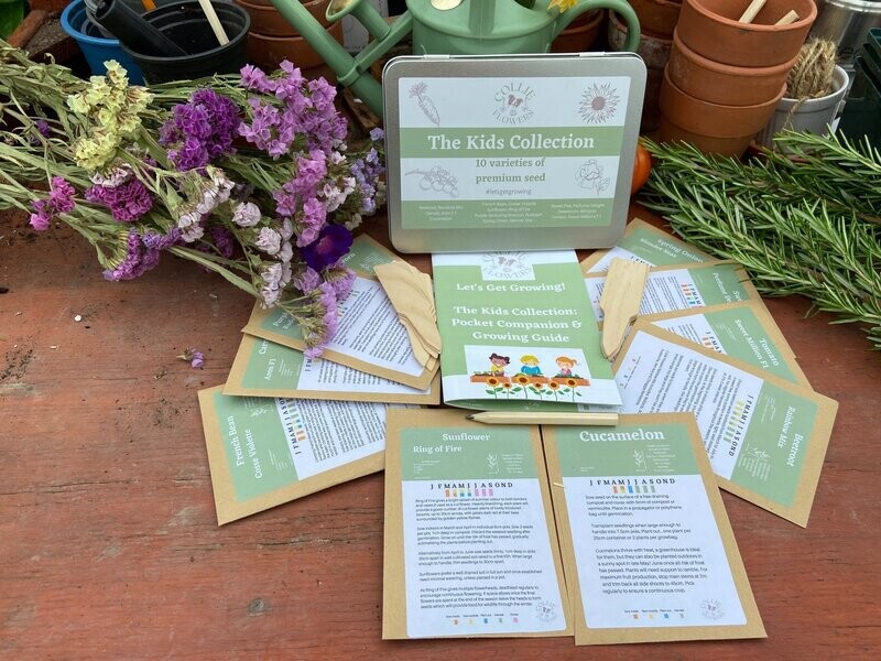 The Kids Collection Pocket Companion & Growing Guide: Digital Download