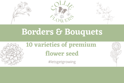 Borders & Bouquets, by Cara