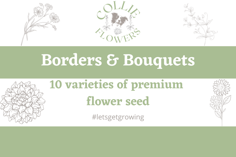 Borders & Bouquets, by Cara