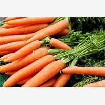 Carrot, Berlicum