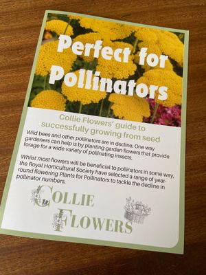 Perfect for Pollinators