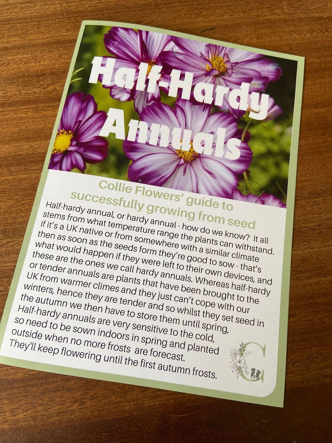Half Hardy Annuals