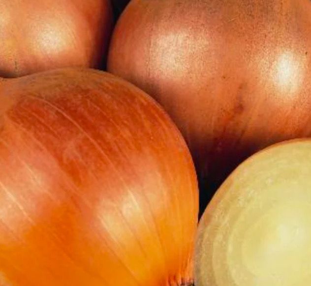 Onion, Armstrong F1