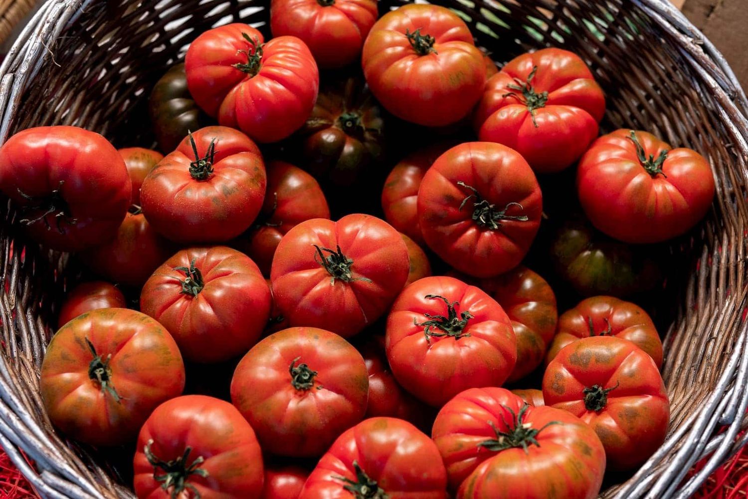 Tomato, Raf