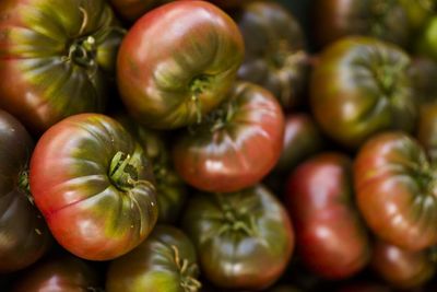 Tomato, Cherokee