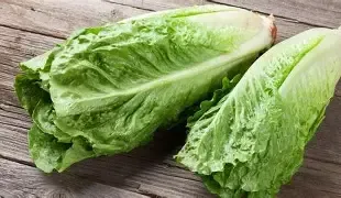 Lettuce, Montreal