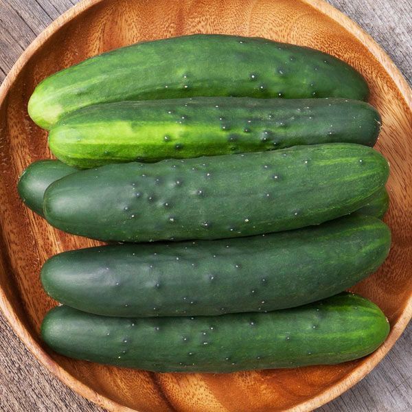 Cucumber, Marketmore 76 Cucumber, Marketmore 76