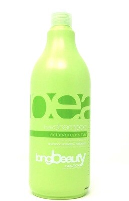 SHAMPOO LT BEAUTY EVOLUTION ANTISEBO SHAMPOO LT BEAUTY EVOLUTION ANTISEBO