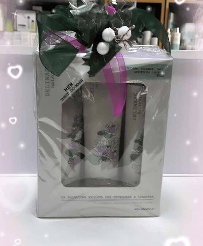 KIT DELIWASH HAIR CARE ELGON ANTI-RESIDUE WASH CLEANSING CONDITIONER E SOFTENING TREATMENT ELGON