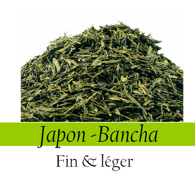Thé Vert - Japon-Bancha