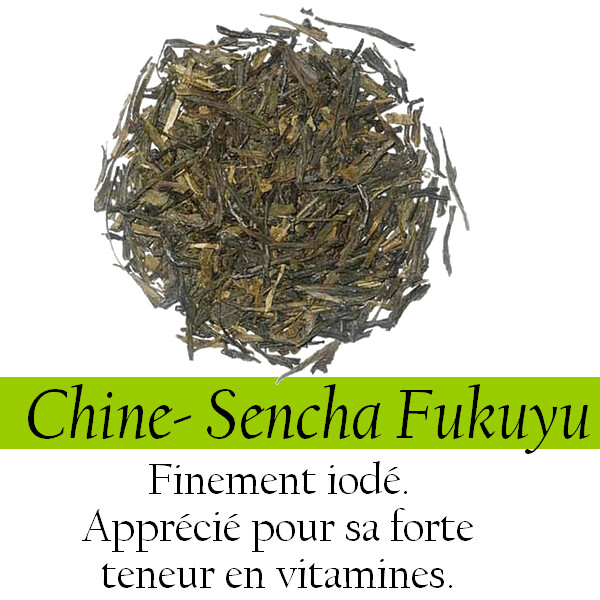 Thé Vert - Japon - Sencha Fukuyu