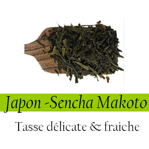 Thé Vert - Japon - Sencha Makoto