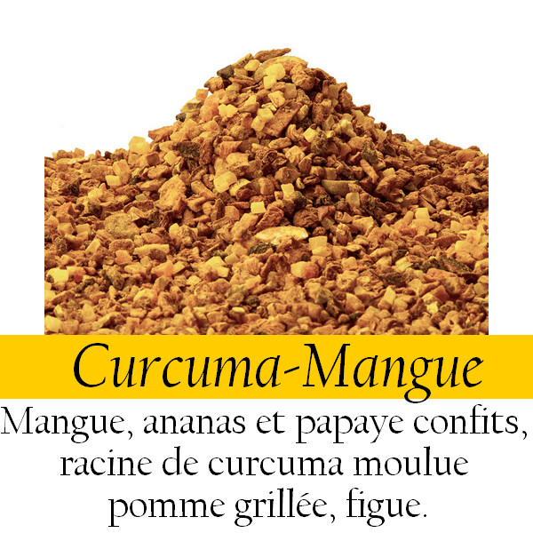 Eau de fruits - Curcuma/mangue