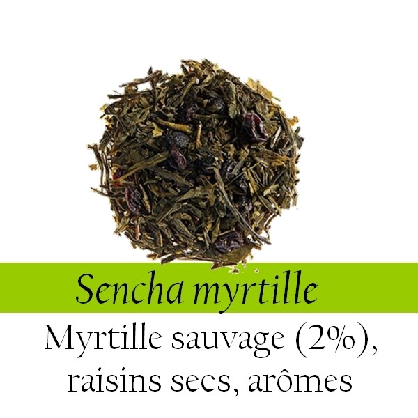 Thé Vert - Sencha myrtille