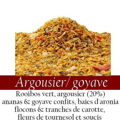 Rooibos - Argousier & goyave