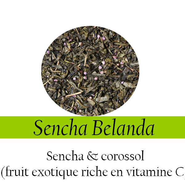 Thé Vert- Sencha Belanda