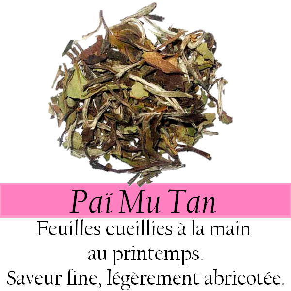 Thé Blanc - Nature - Paï Mu Tan