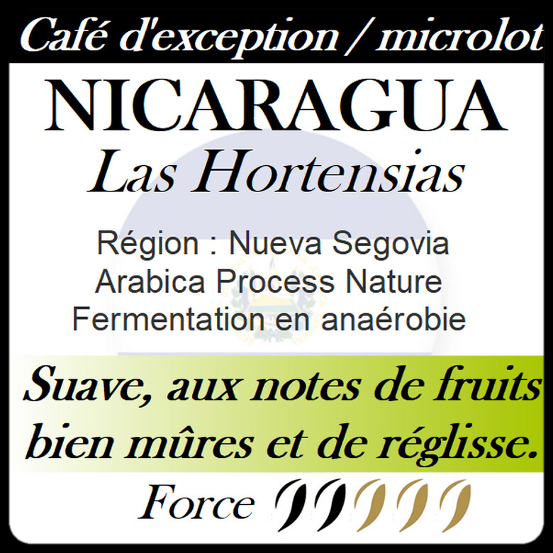 Café d'exception - Nicaragua Las Hortensias