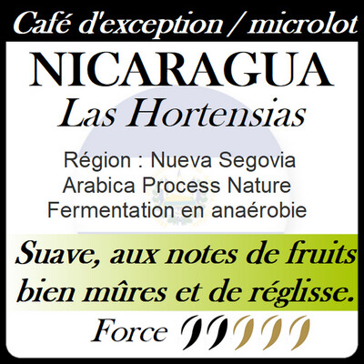 Café d'exception - Nicaragua Las Hortensias