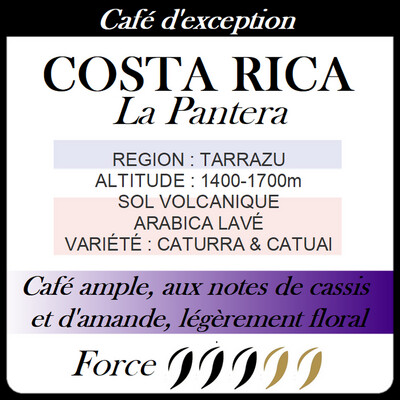 Café d'exception - COSTA RICA LA PANTERA