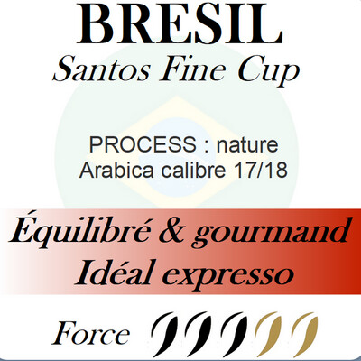 BRÉSIL Santos Fine Cup