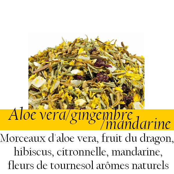 Eau de fruits -Aloe vera/gingembre/mandarine