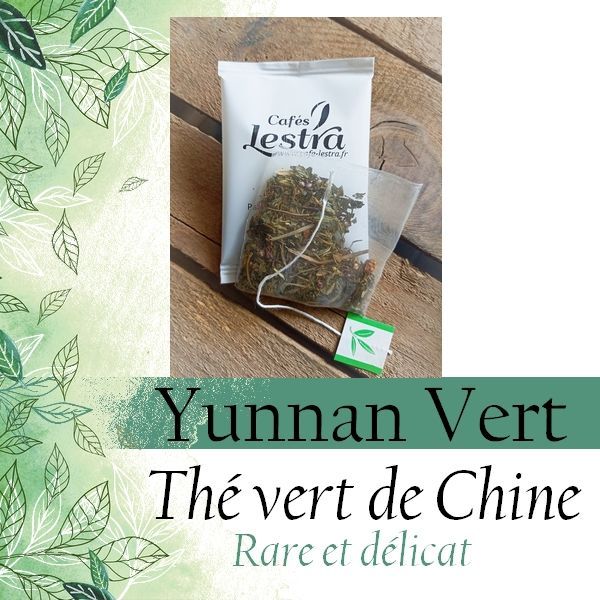 Thé vert en sachet - Yunnan Vert