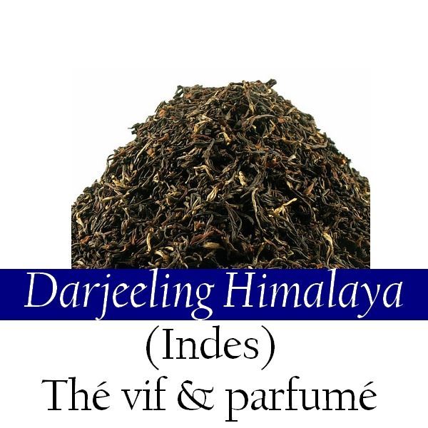 Thé Noir - Darjeeling Himalaya