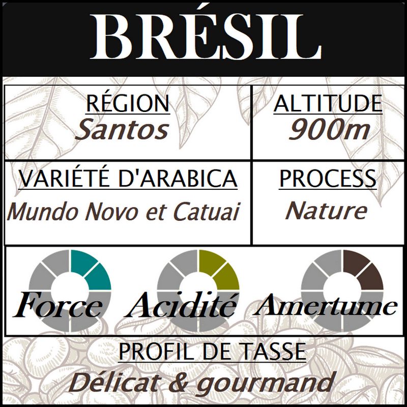 BRÉSIL Santos Fine Cup