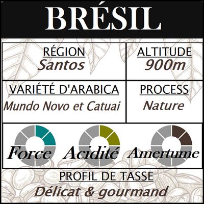 BRÉSIL Santos Fine Cup
