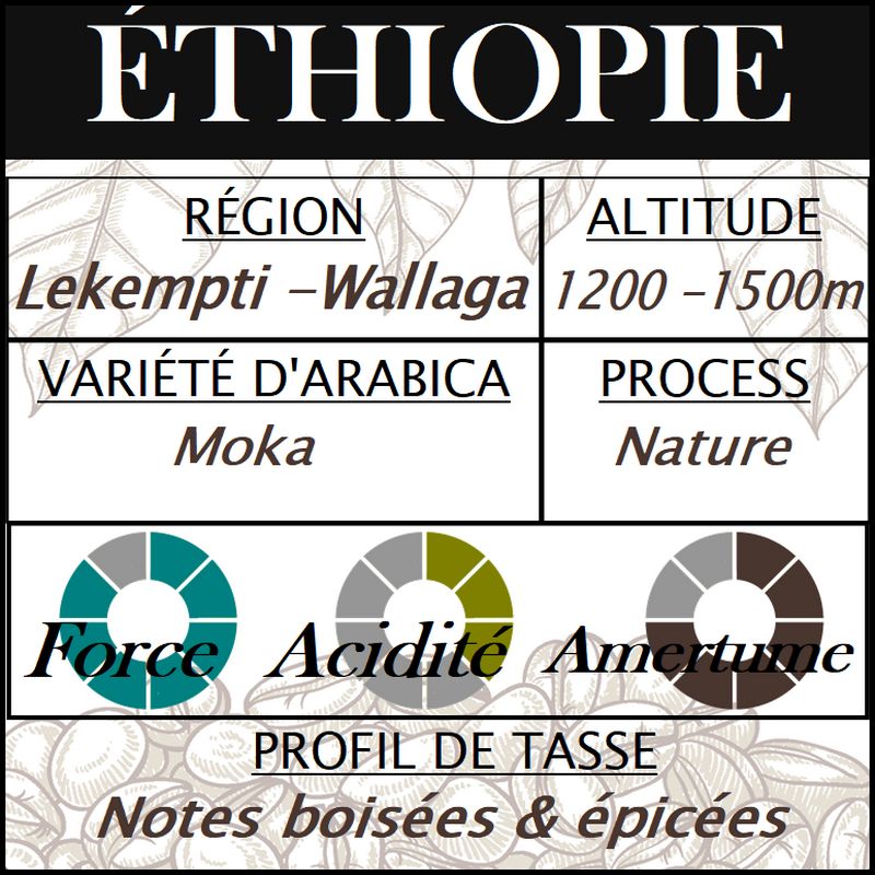 ETHIOPIE Moka Lekempti