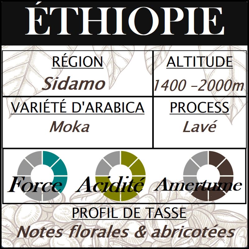 ETHIOPIE Moka Sidamo