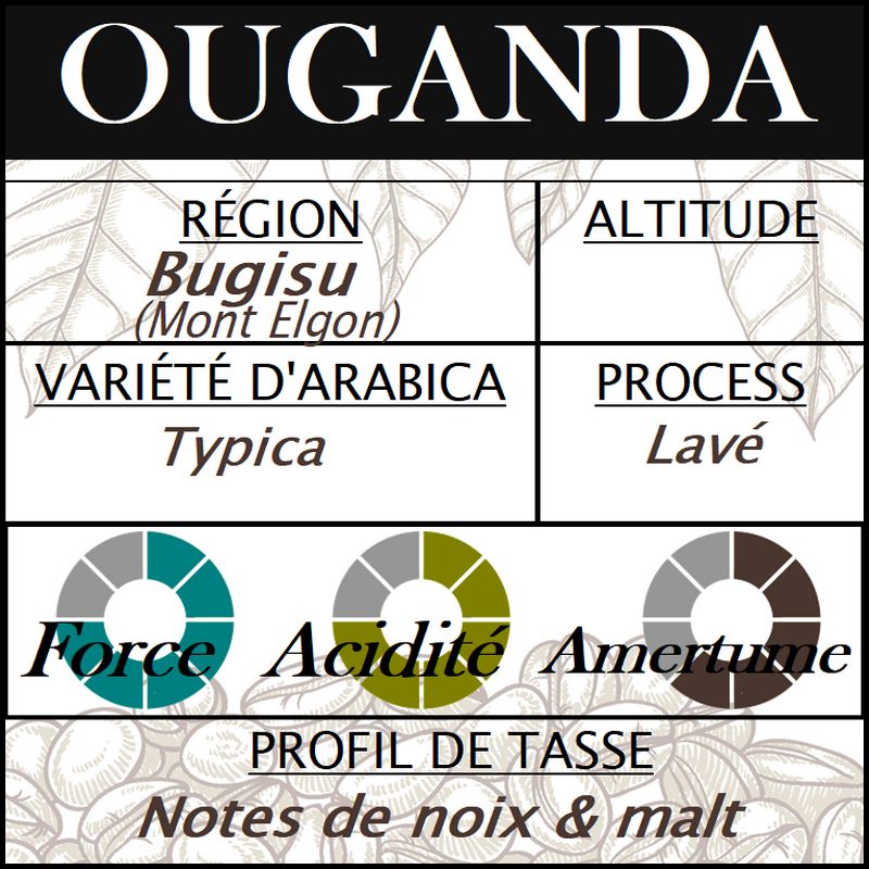 OUGANDA Bugisu