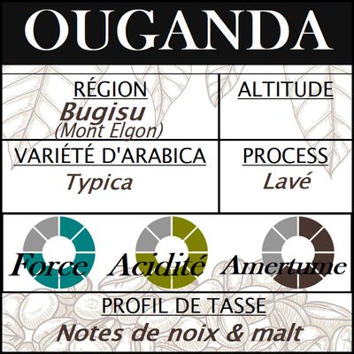 OUGANDA Bugisu
