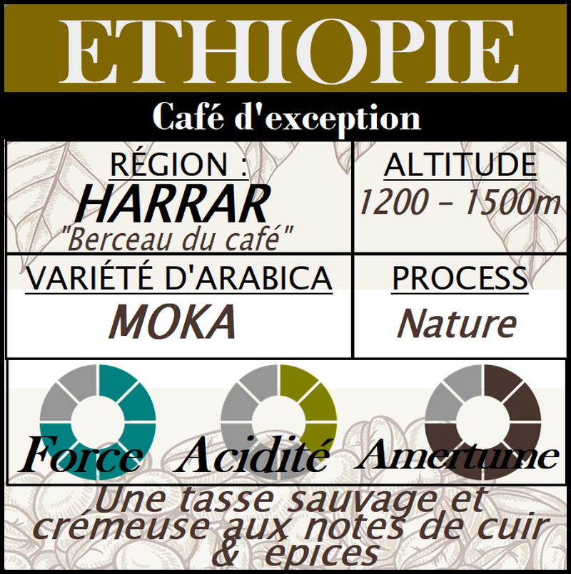 Café d'exception - ETHIOPIE Moka Harrar Longberry