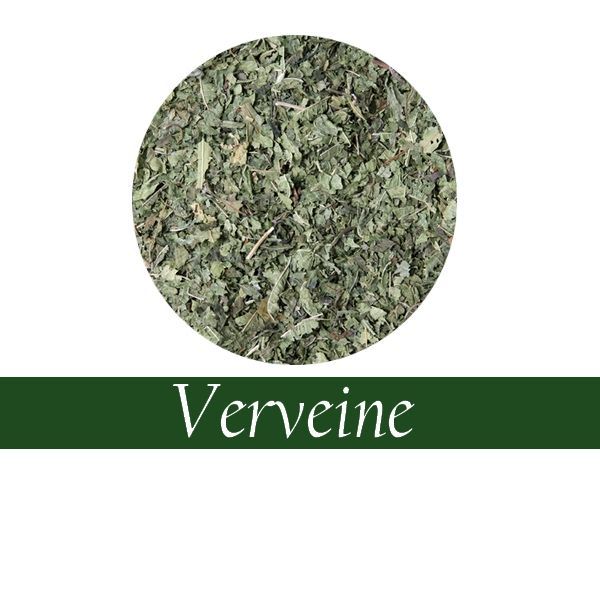 VERVEINE