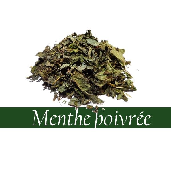 MENTHE POIVREE