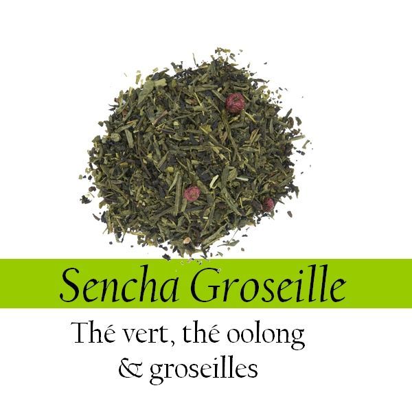 Thé Vert - Sencha Groseille